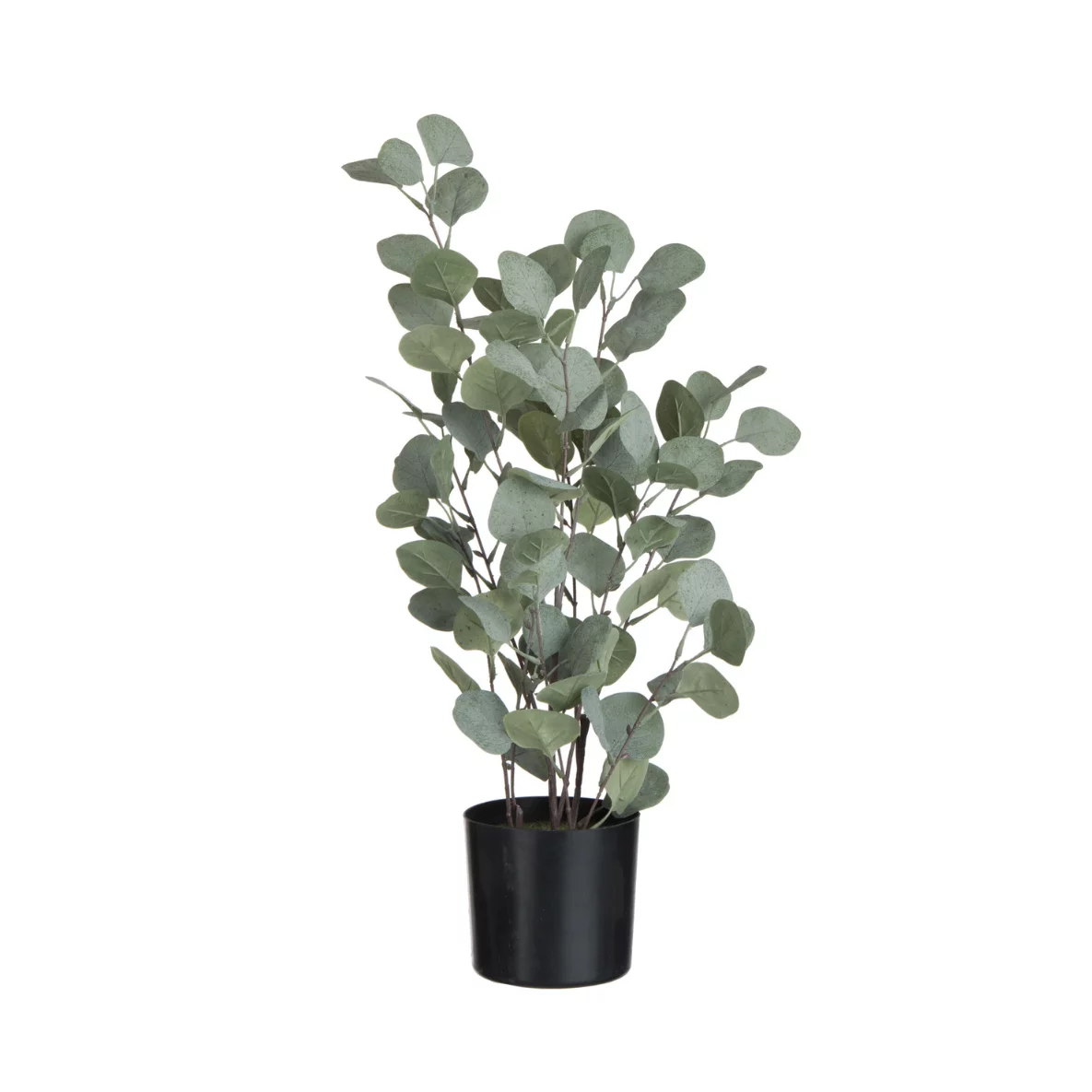 kunst eucalyptus plant