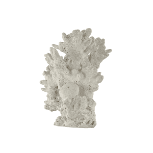 Ornament koraal wit