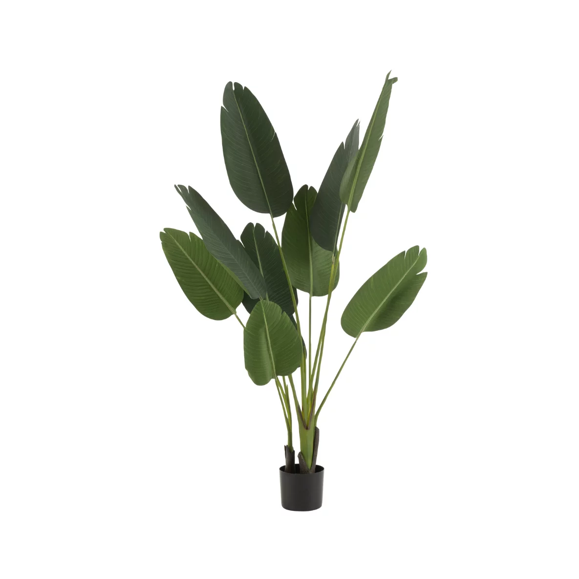 Strelitzia Pflanze Kunstpflanze
