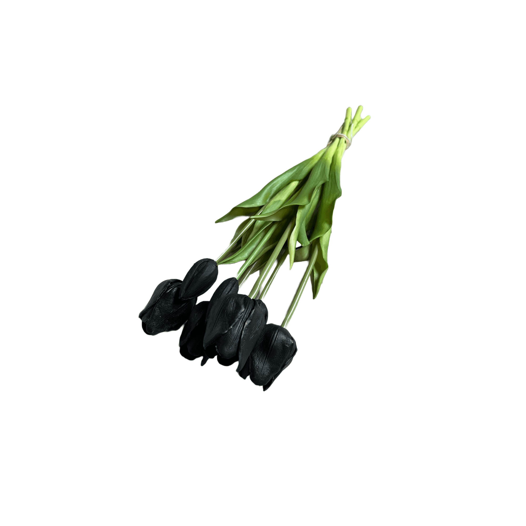 schwarze Tulpen
