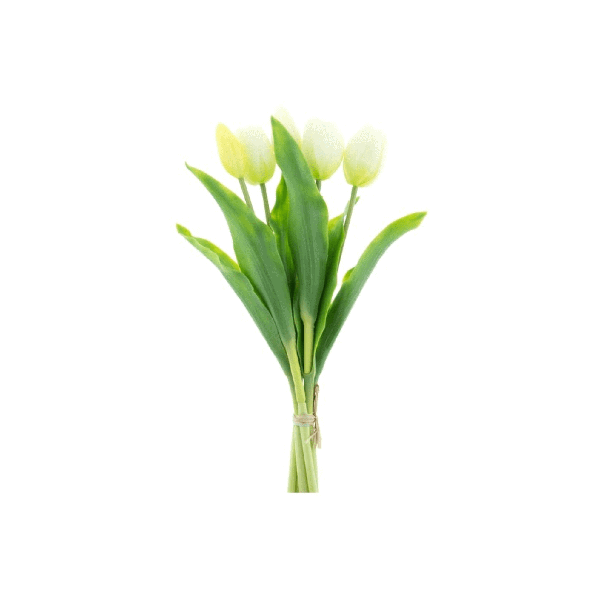 zijden tulpen wit
