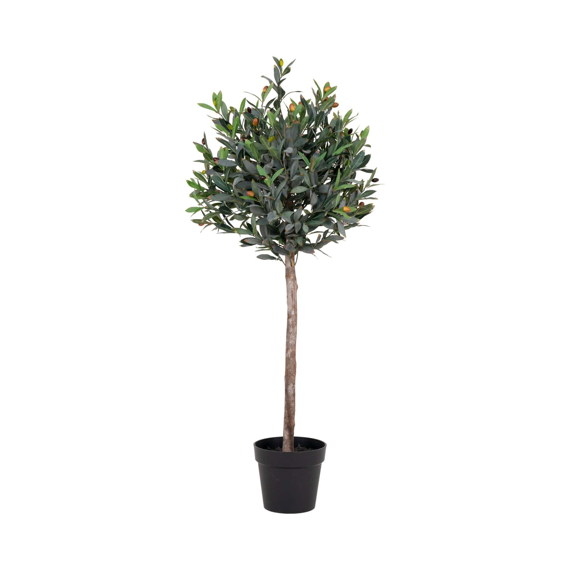 Kunt olijfboom in pot van 120 cm