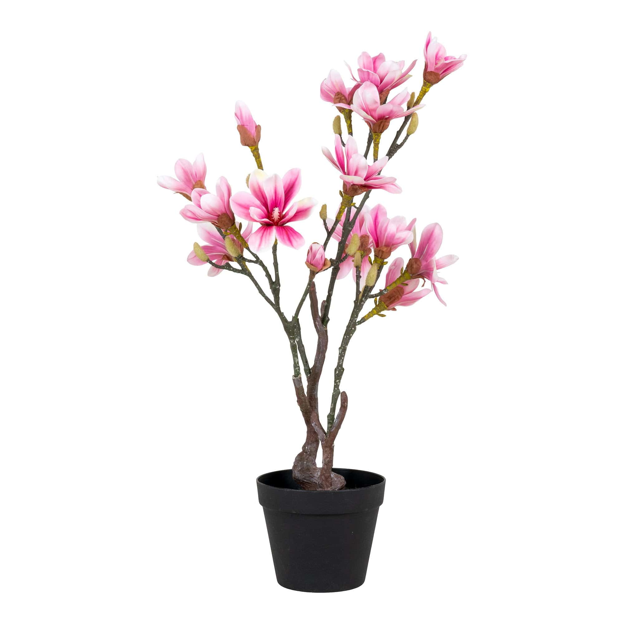 kunst magnolia plant