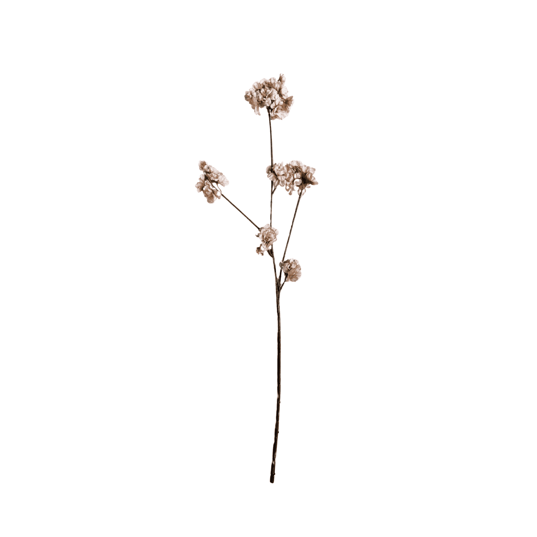 Zijden bloesem tak Cappuccino beige bruin