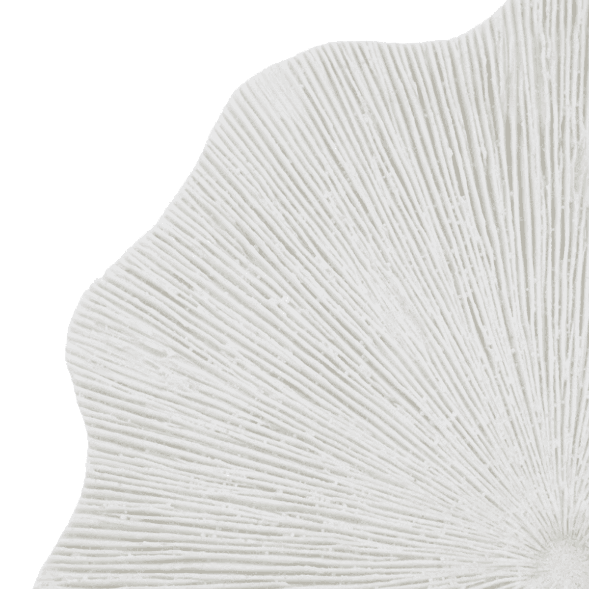 wanddecoratie wit in een organische vorm voor een japandi stijl in een koraal coral vorm met relief